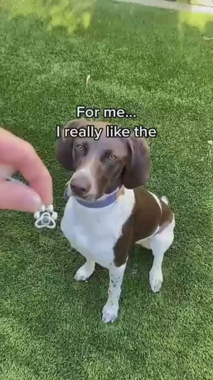 1.mp4